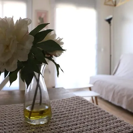 Apartment Solea *